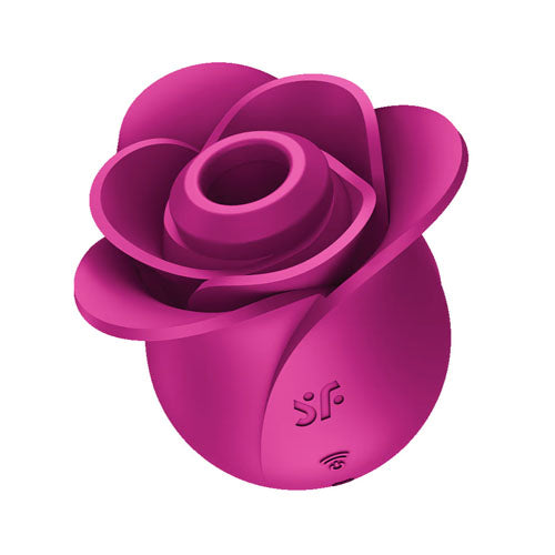 Satisfyer pro 2 vibrator