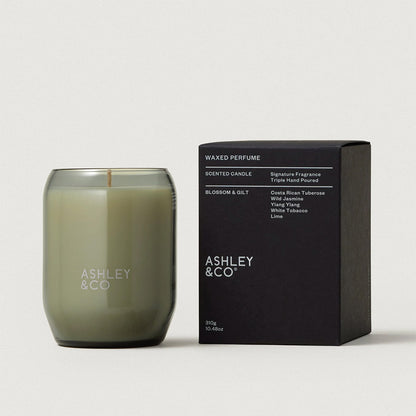 Ashley & Co Candle Blossom Gilt NZ