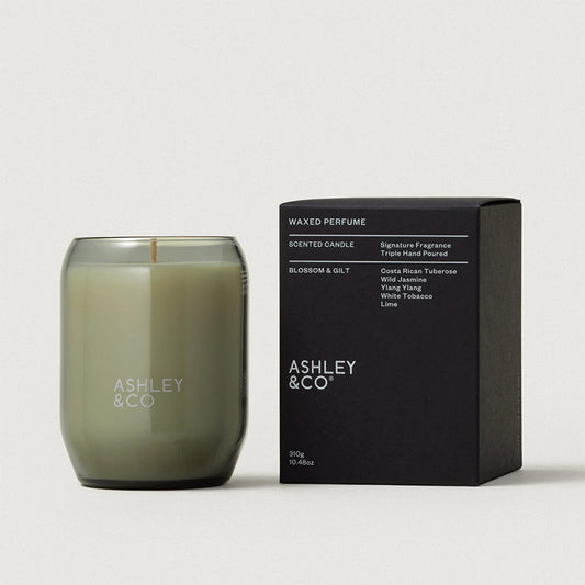 Ashley & Co Candle Blossom Gilt NZ